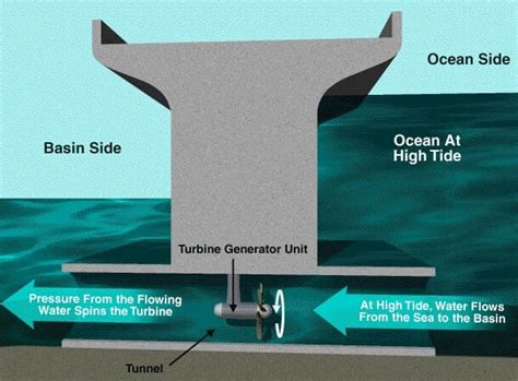 महासागर संसाधन: जैविक और अजैविक (Ocean Resources: Biotic and Abiotic)