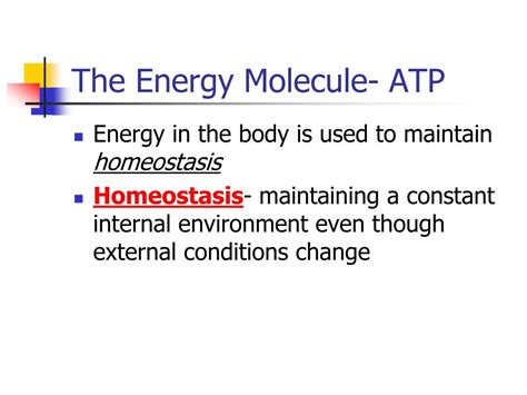 Energy Molecule 的图像结果