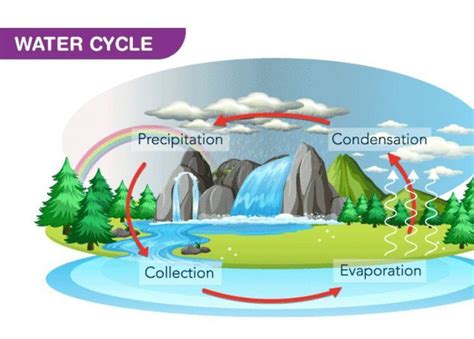 explaining different ways of water management and draw a well labelled ...