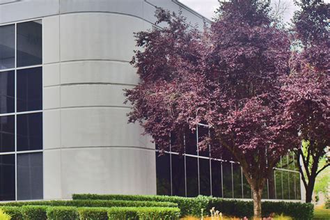 North Creek Center - Anastasiou Development LLC