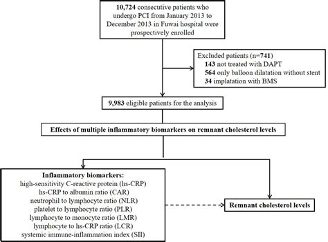 Association between multiple inflammatory biomarkers and remnant cholesterol levels in patients ...