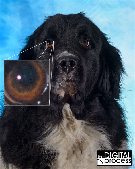 Digital Images 的图像结果