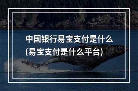 中国银行易宝支付是什么(易宝支付是什么平台)-综合百科-百科知识网