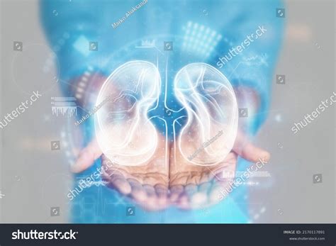 4,127 Kidney Nurse Images, Stock Photos & Vectors | Shutterstock