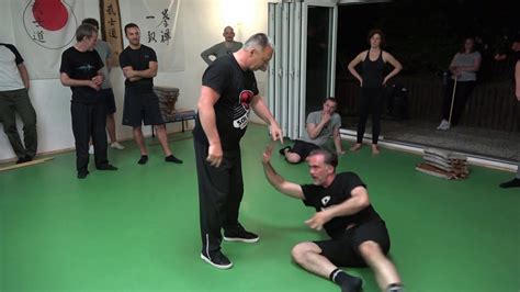 Systema 的图像结果