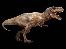 malvorlagen dinosaurier t rex tyrannosaurus rex rexy malvorlagen dinosaurier t rex tyrannosaurus rex rexy