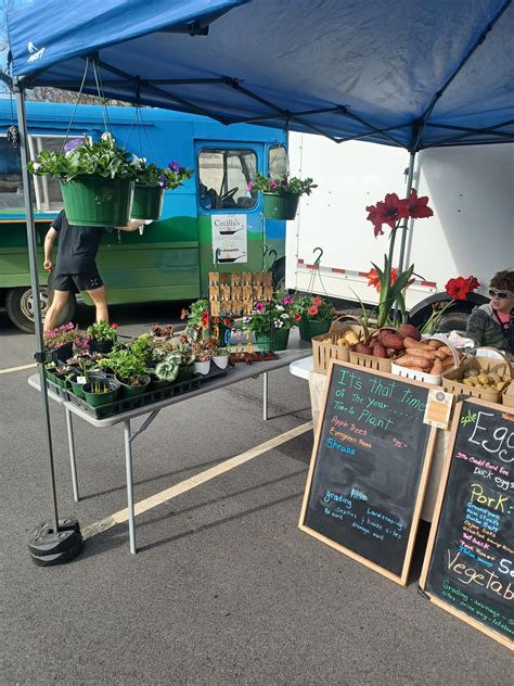 Country Fields Greenhouse and Garden – North Asheville Tailgate Market