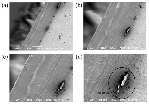 The Effect of Radiative Cooling on Reducing the Temperature of Greenhouses
