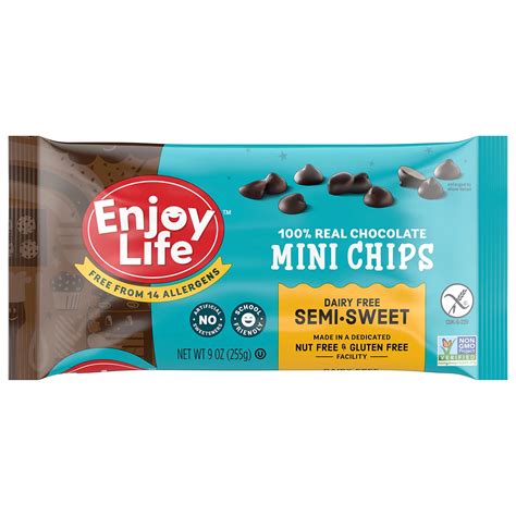 Enjoy Life Gluten Free Allergy Friendly Semi-Sweet Vegan Chocolate Mini ...