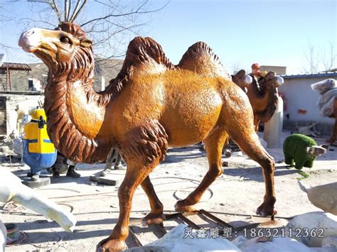 水泥骆驼雕塑图片,骆驼雕塑图片,骆驼图片_大山谷图库