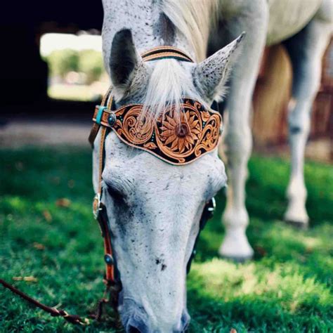 Horse Tack Paper Pattern | identityleathercraft