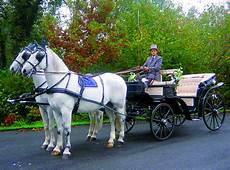 carrozza con cavalli white cavalli e carrozze noleggio auto carrozza con cavalli white cavalli e carrozze noleggio auto