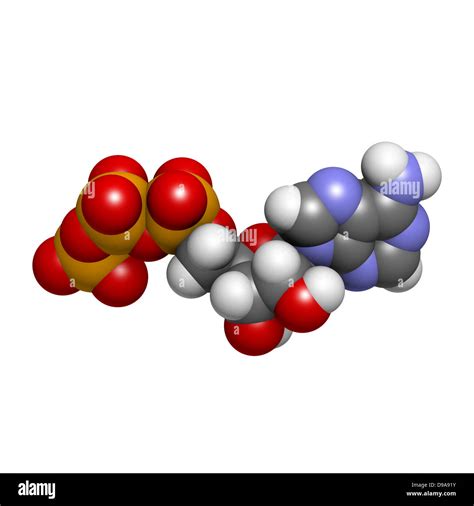 Image result for ATP Molecule Structure