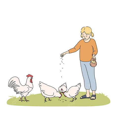 Farming Agriculture Feeding Animals Concept, Chicken, Domestic, Farm ...