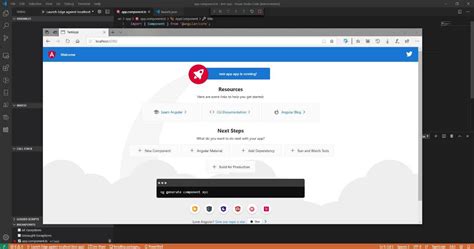 Debugging Angular in vs Code 的图像结果