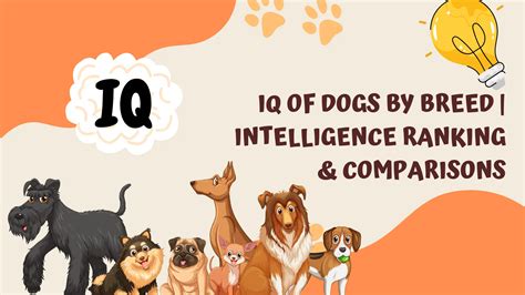Average Dog IQ by Breed | Intelligence Ranking & Comparisons