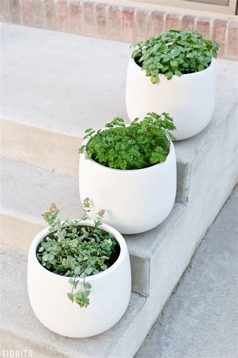 Must Know Tips for Container Herb Gardening - Tidbits