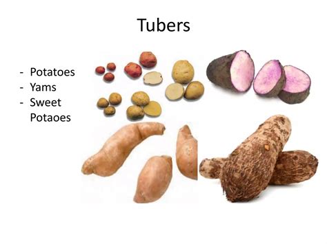 Vegetables Classification 的图像结果