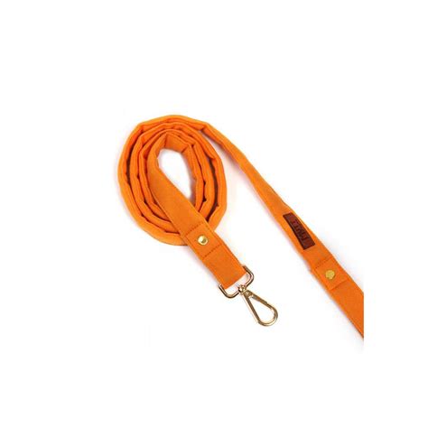 Mutt Of Course Gooseberry Leash – A Petter Life