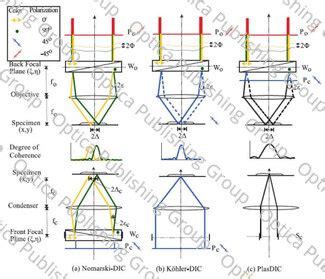 Image result for DIC Microscopy Tutorial