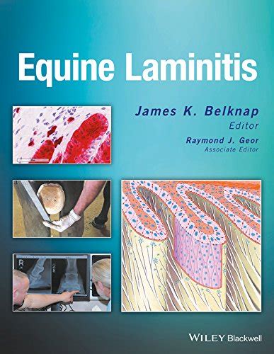 Equine Laminitis eBook : Belknap, James K.: Amazon.in: Kindle Store