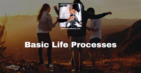 Image result for Basic Life Process