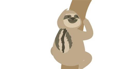 Image result for Dwarf Sloth