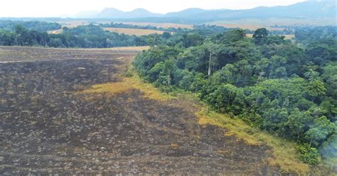 How Flammable Celebrations Damage Local Ecosystems