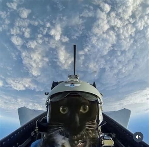 Pin on Aircraft & Spacecraft