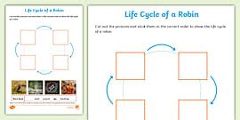 Life Cycle of a Dog Worksheet (teacher made) - Twinkl