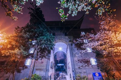 武汉大学夜樱樱花高清图片下载-正版图片500832027-摄图网