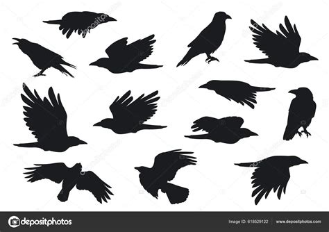 Crows Flying In Groups