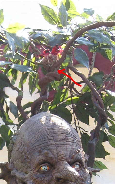 Image result for Treebeard ENT House