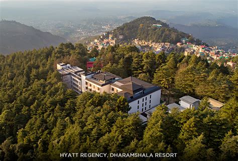 Shanti Hospitality