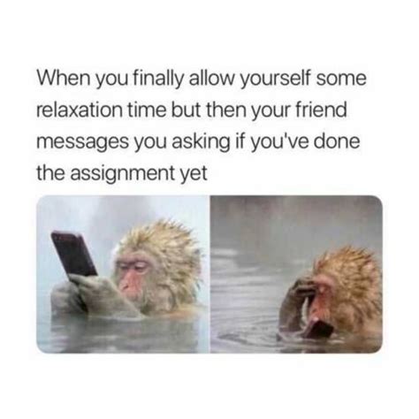 Image result for Assignment Complete Meme