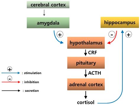 Molecular Neurobiology and Promising New Treatment in Depression