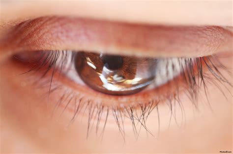 Eclectic Breakfast: Sifting the Academic Literature