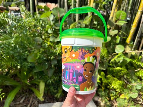 New Disney World Popcorn Bucket Features Moana & Tiana | Chip and Company