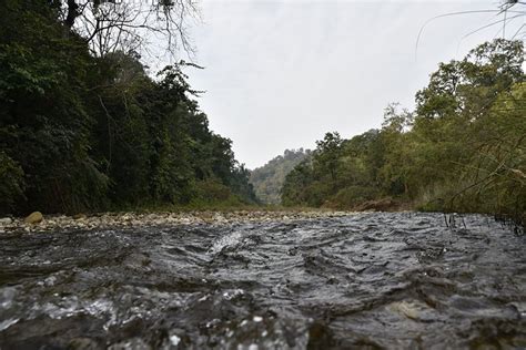 TREE OF LIFE VANVILAS RIVEREDGE CORBETT (Kiari Kham) - Lodge Reviews ...