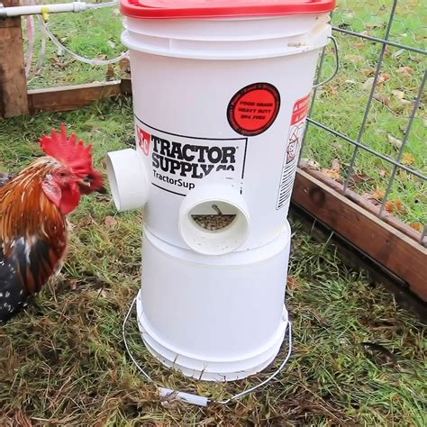Poultry Feeder Diy