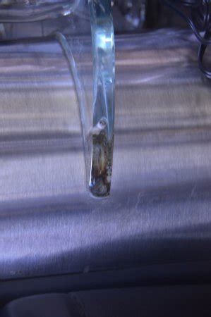 Elite Limo Napa Tours - 2022 What to Know Before You Go (with Photos ...