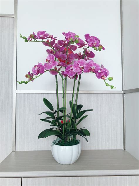 Artificial Orchid Plants In Pots at Hudson Facy blog