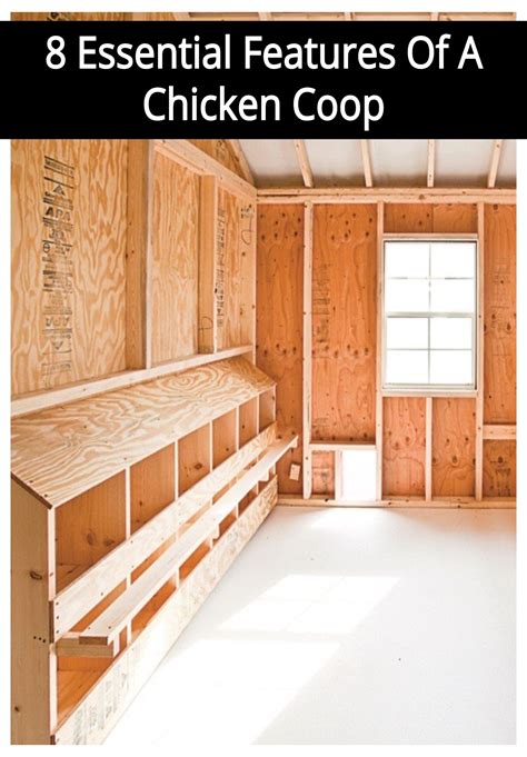 Inside a chicken coop 8 essential features – Artofit