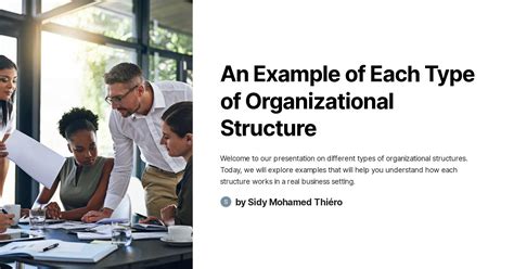 Structures of Organisation Example 的图像结果
