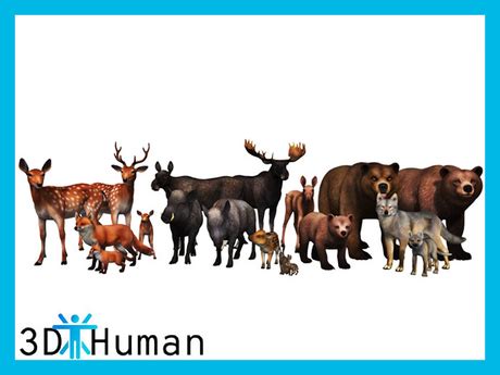 Image result for Second Life Scripting Animals