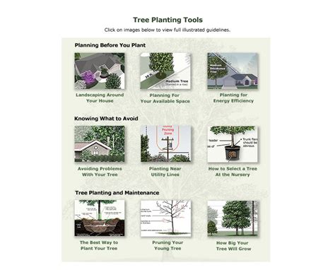 Image result for Tree-Planting Project Materials