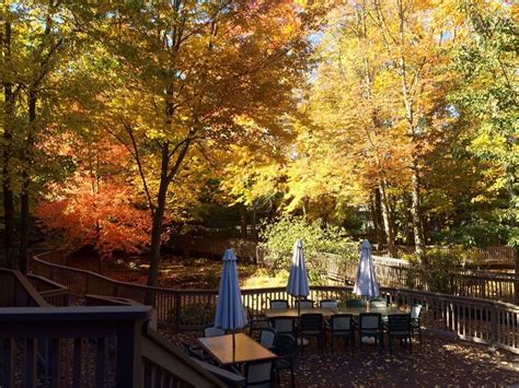 Benjamin Moore Office Photos