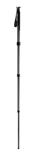 Buy Gitzo GM2540 6X Series 2 Carbon Fiber 4 Section G-Lock Monopod ...