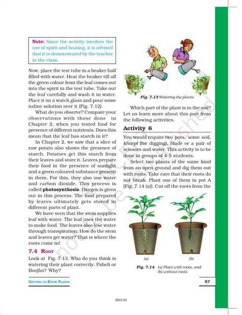 Image result for Class 6 Science Chapter 7 Book