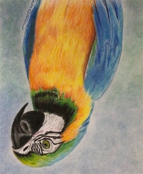 Image result for How to Learn Drawing Methods